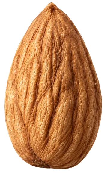 Миндаль