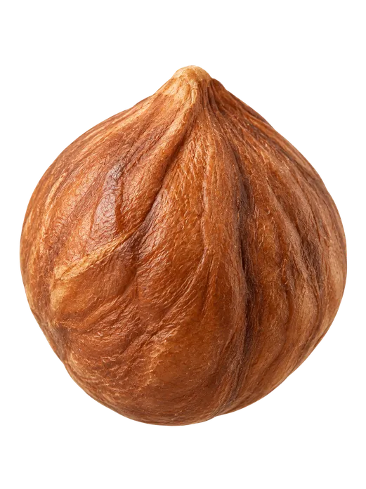 Фундук