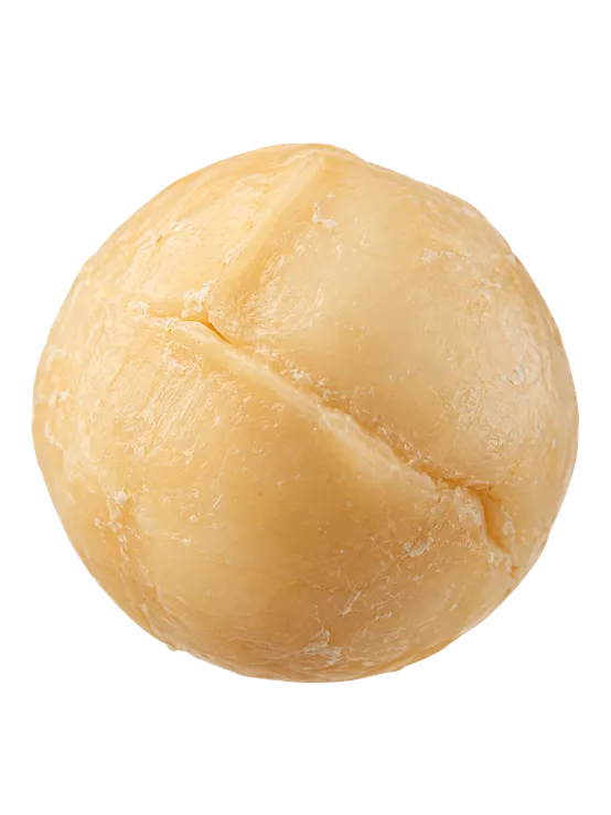 Макадамия